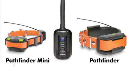 DOGTRA Pathfinder Mini